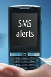 Public Sector Banks collected Rs 3388 cr in last three years for SMS alerts