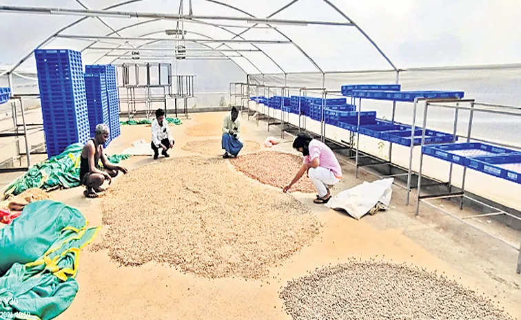 మౌంట్‌ కాఫీ... సరికొత్త స్ఫూర్తి  