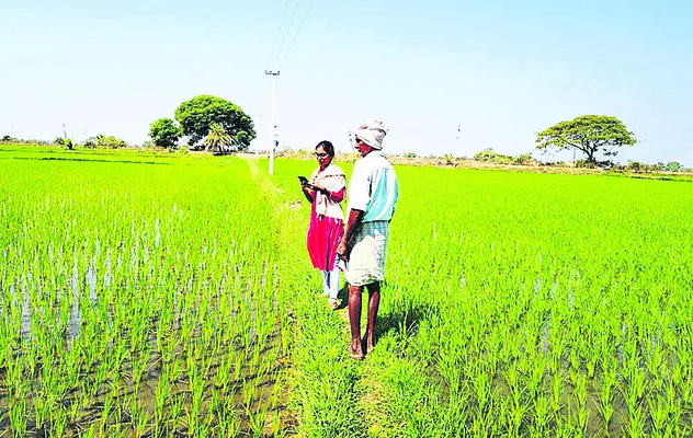 డిజిటల్‌ క్రాప్‌ సర్వేకు సన్నద్ధం