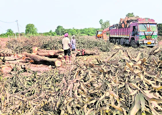 సాగు ఎండమావిడి 