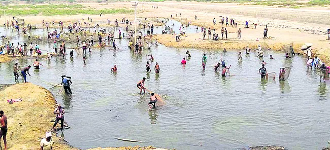 ‘చేప’డితే లాభమే