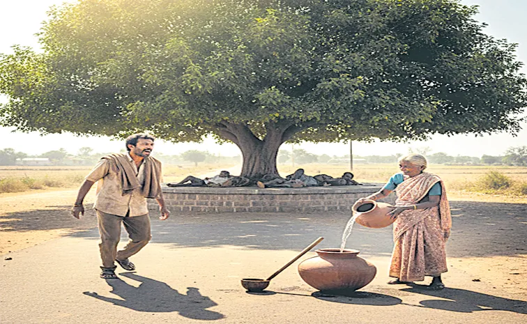 ఈ చెట్టు...  ఆ నీళ్లు