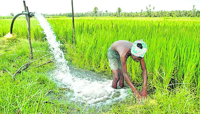‘భరోసా’ లేని కౌలు