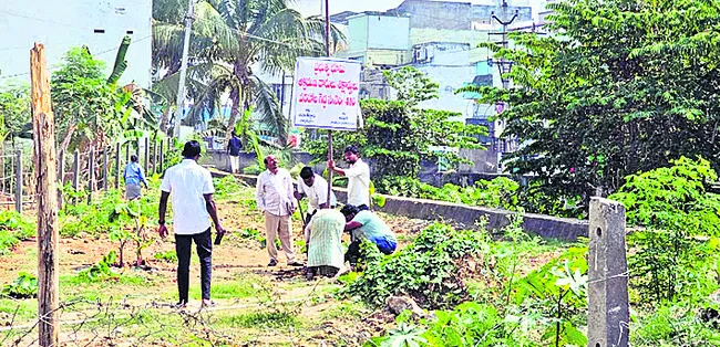 మరో వైపు.. :  
