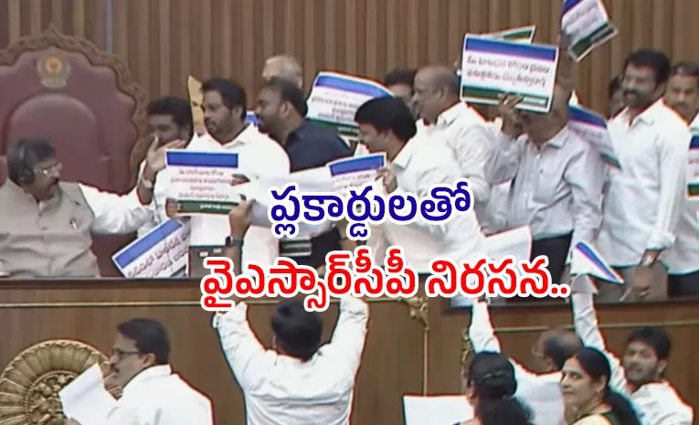 శాసనమండలిలో వైఎస్సార్‌సీపీ సభ్యుల ఆందోళన