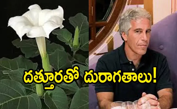 ఎప్‌స్టీన్‌ ఫైల్స్‌లో మరో కలకలం : ఉమ్మెత్త పూలతో అరాచకాలు