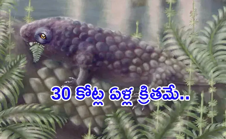 old skull reveals Earths earliest vegetarian animal