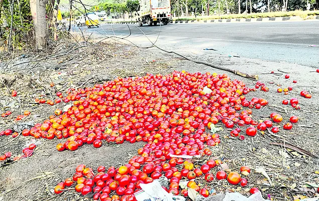 టమాటా ధర పతనం