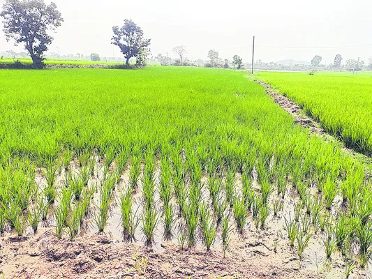 అన్నదాతలకు.. యాప్‌సోపాలు 