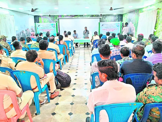 వాటిని స్వేచ్ఛగా తిరగనిద్దాం! 