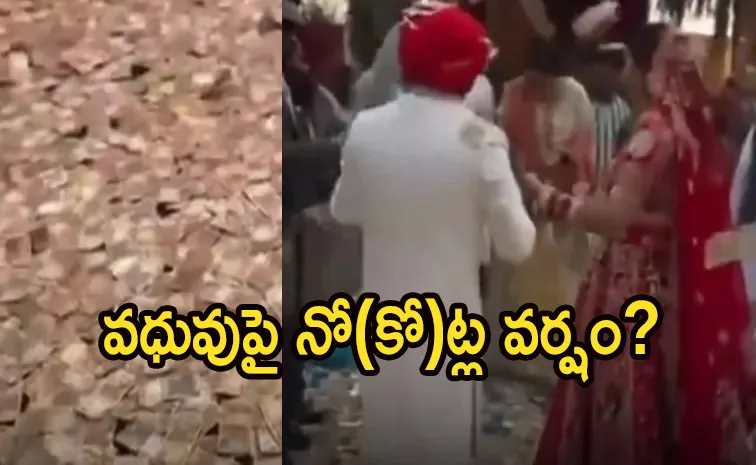 Punjab bride showered with Rs 9 crore at wedding Groom family denies