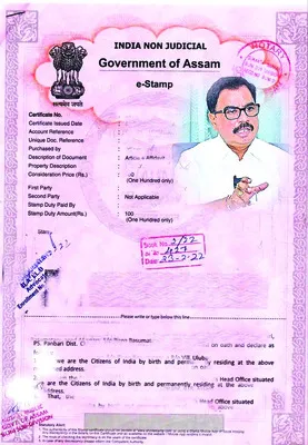 పచ్చ దండులో ‘ఈ–స్టాంప్‌’ గుబులు 