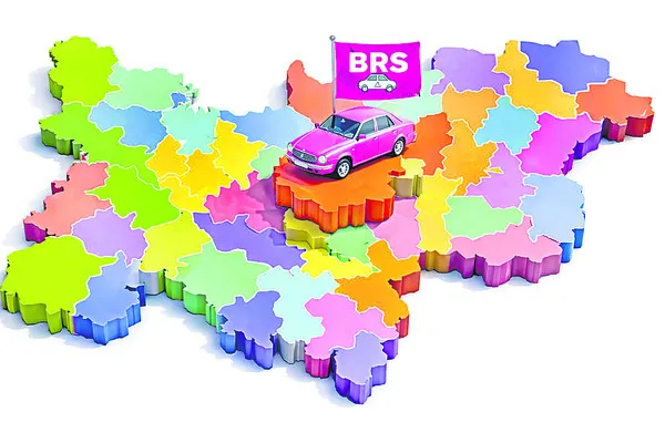 సడలని గులాబీ పట్టు