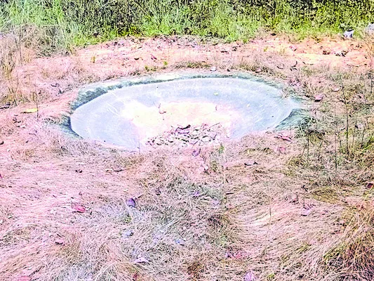 అడవుల సంరక్షణేదీ?