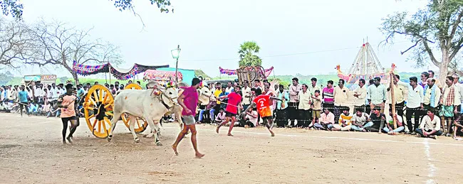 ఉత్కంఠభరితంగా ఎడ్ల పూటీ లాగుడు పోటీలు 