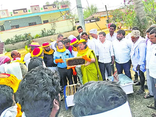 తేనెటీగల పెంపకంతో ఆదాయం 