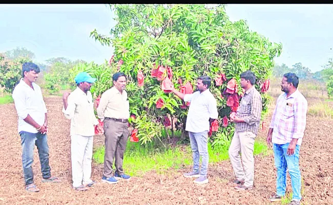 పథకాలను  సద్వినియోగం చేసుకోవాలి