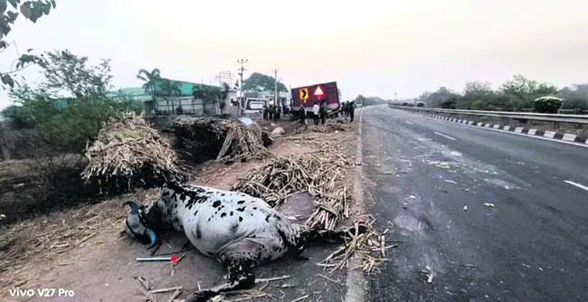 ఎడ్లబండిని ఢీకొన్న వ్యాన్‌
