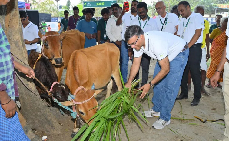 SMFG India Credit Impacts 1.55 Lakh Lives On Pashu Vikas Day