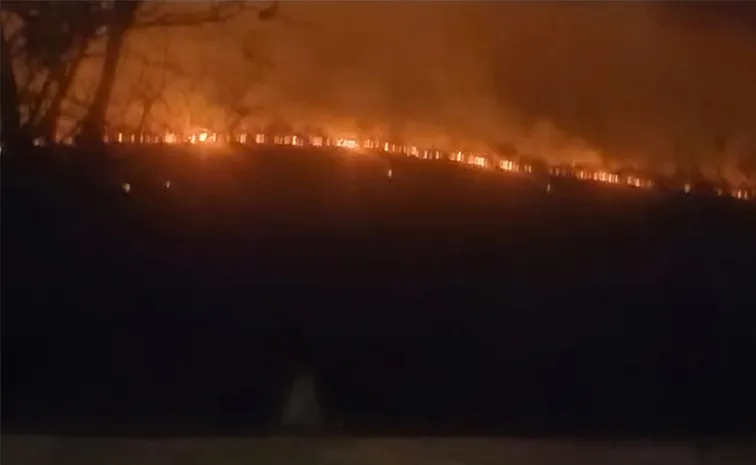 Fire accident in nallamala Brahmagiri Range Mbnr