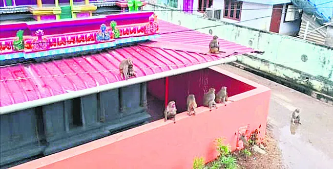 అటకెక్కిన ఆహ్లాదం..  పనుల్లో జాప్యం
