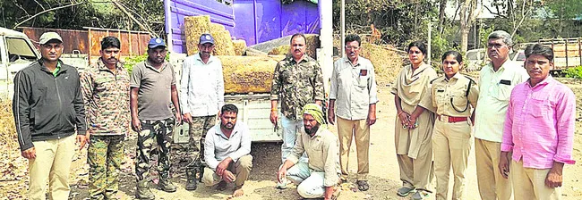 కలప పట్టివేత