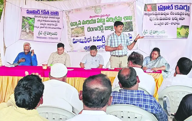 మామిడిలో పూత సమయం కీలకం 