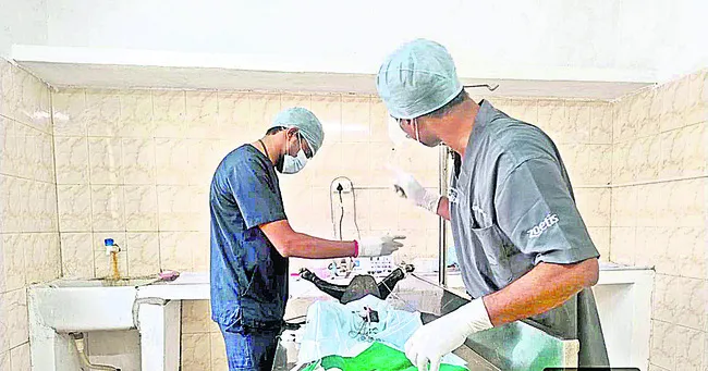 వీధి శునకాలకు కుటుంబ నియంత్రణ 