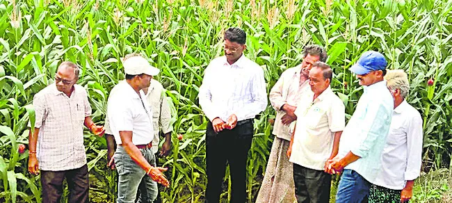 సాగునీటిపై ఆందోళన వద్దు 