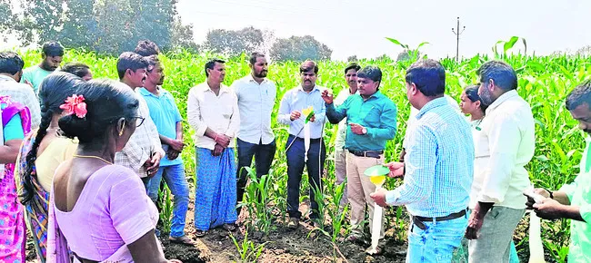 సస్యరక్షణ చర్యలపై రైతులకు అవగాహన