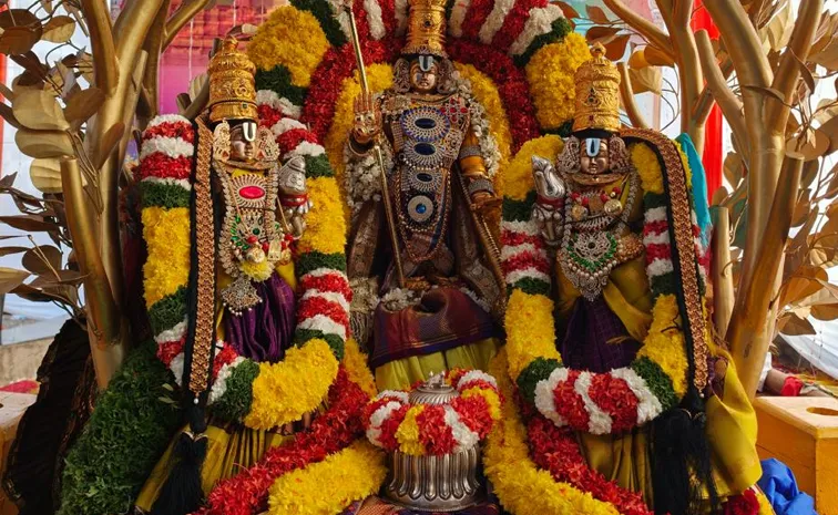Lord Venkateswara Blessings On Kalpavriksha Vahanam