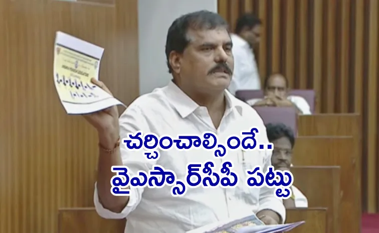 Ysrcp Mlcs Protest In The Legislative Council