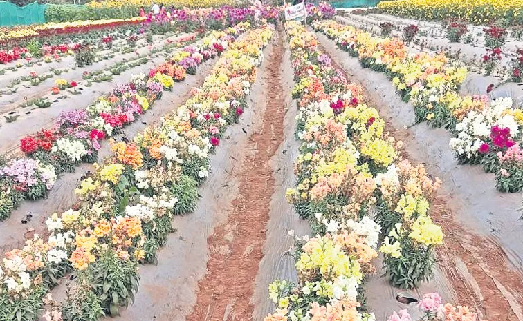 ఆంధ్రా కశ్మీర్‌లో 'విదేశీ' సిరులు