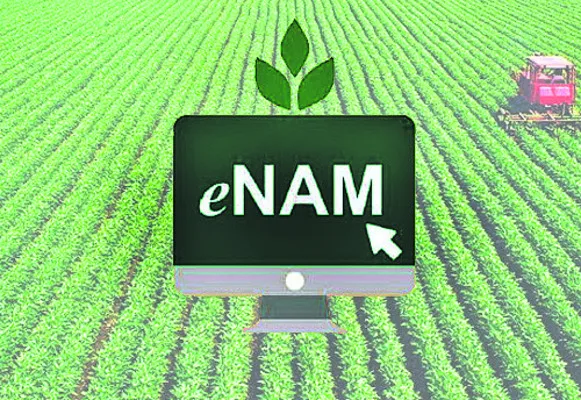 పోర్టల్‌లో వివరాల నమోదు..
