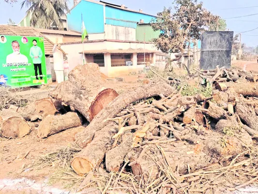 కలికితురాయిపై కక్ష 