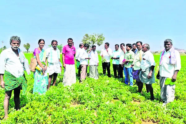 27 నుంచి  ఖాద్రీశుని బ్రహ్మోత్సవాలు 