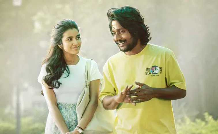 Hey Balwanth Movie Collection Day 1 Worldwide