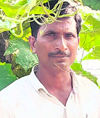 ఖాళీగా ఉండకుండా బీరసాగు 
