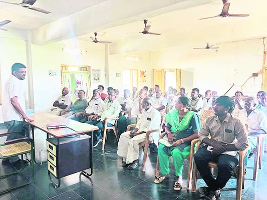 దళారీ వ్యవస్థ లేకుండా పామాయిల్‌ అమ్మకాలు 