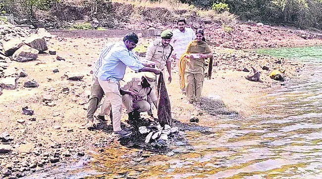 అక్రమంగా తరలిస్తున్న 320 తాబేళ్ల స్వాధీనం 
