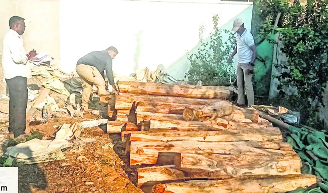 అక్రమ కలప స్వాధీనం 
