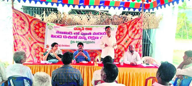 మామిడి రైతులకు  50 శాతం రాయితీతో కవర్లు 
