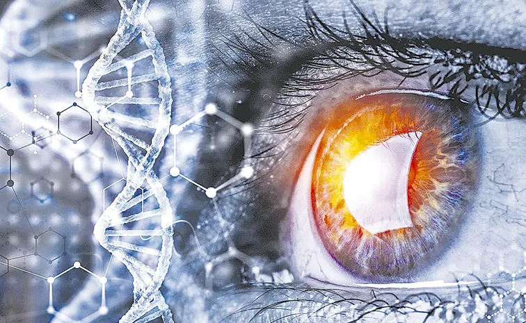 Scientists in Korea develop retinal therapy to restore lost vision
