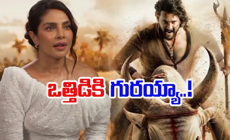 'అందుకే బాలీవుడ్‌ వదిలేయాల్సి వచ్చింది.. కానీ'.. వారణాసి బ్యూటీ