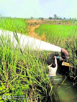 మారేడుగొండ చెరువులోకి దేవాదుల జలాలు