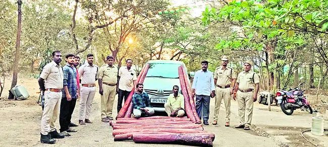 16 ఎర్రచందనం దుంగలు స్వాధీనం 
