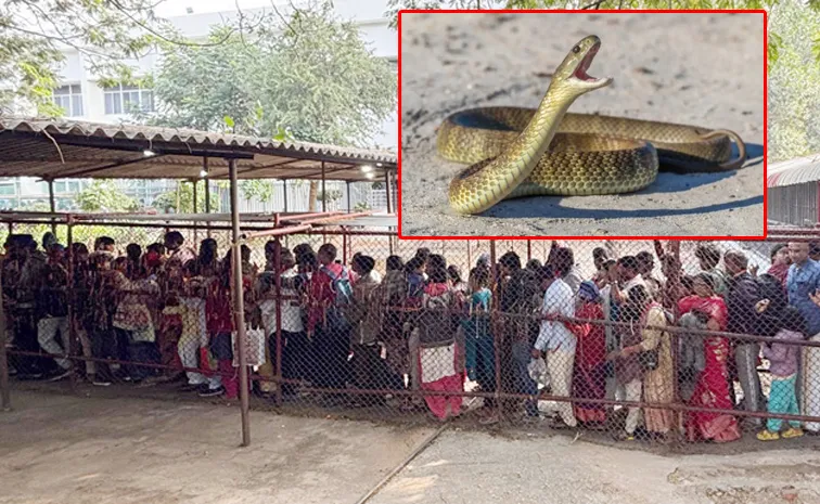 తిరుమల‌లో కలకలం.. దర్శనం క్యూలైన్‌లో మహిళను కాటేసిన పాము