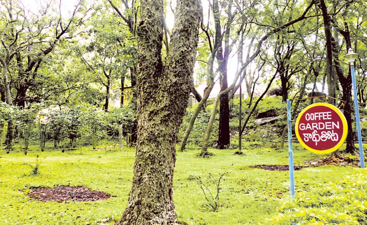 'కాఫీ' పెట్టండి.. సారూ!  