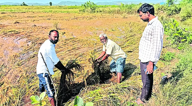 సర్వేతో సరి.. పరిహారం ఊసేది..?
