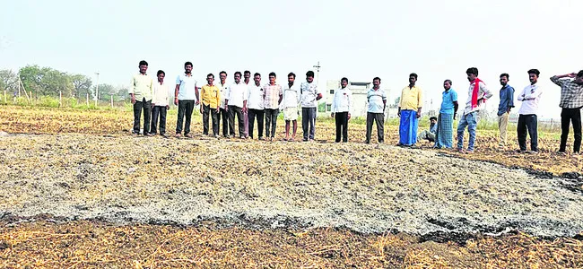 శనగ పంటకు నిప్పు